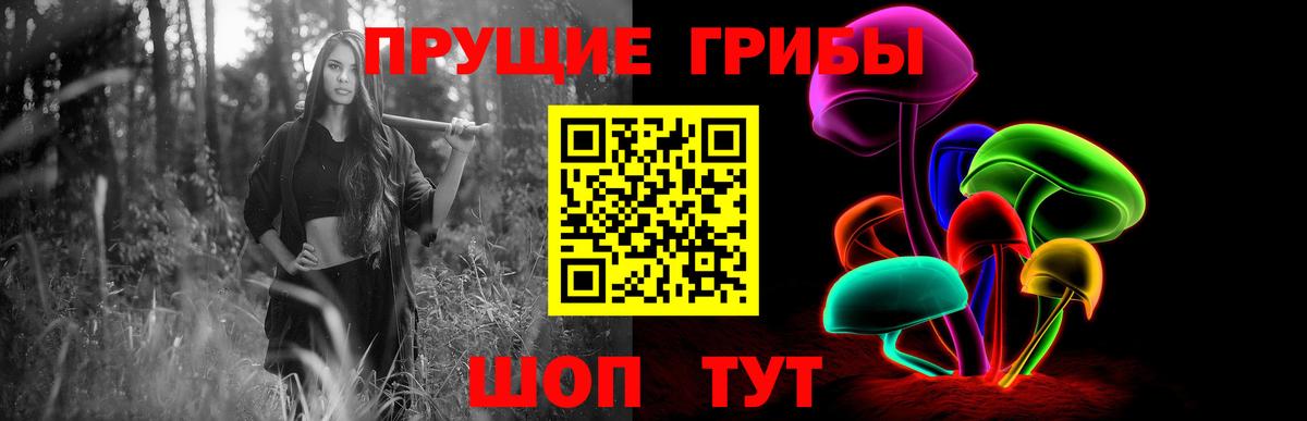 Псилоцибиновые грибы GOLDEN TEACHER  Вход с VPN  Торжок 