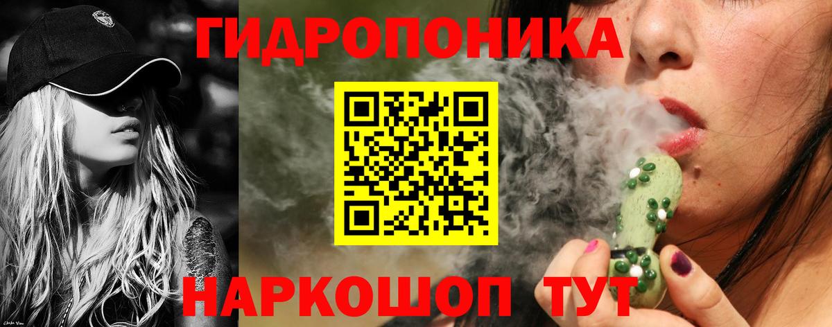 Конопля Bruce Banner Торжок